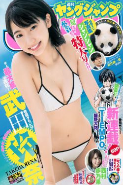 盲人摸象的故事
