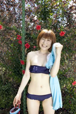 狐狸的夏天