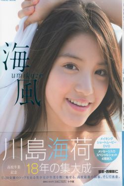 蒲公英